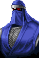 Ninja — selection portrait